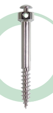 Infrazygomatic screws